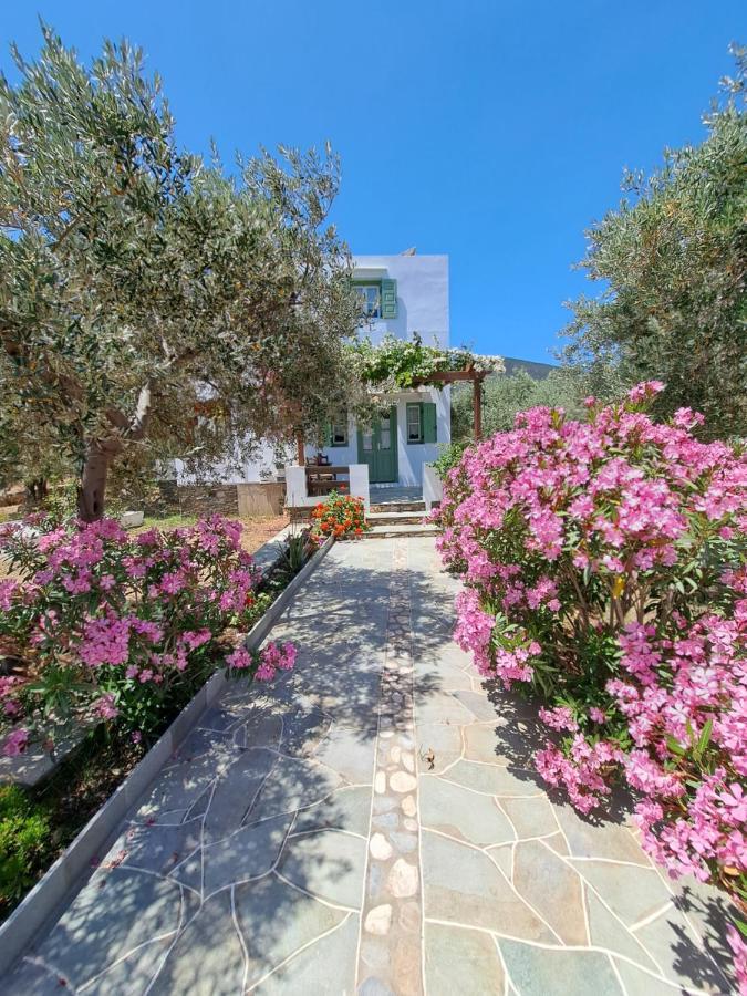 Madilides Apartment Platis Gialos  Екстериор снимка